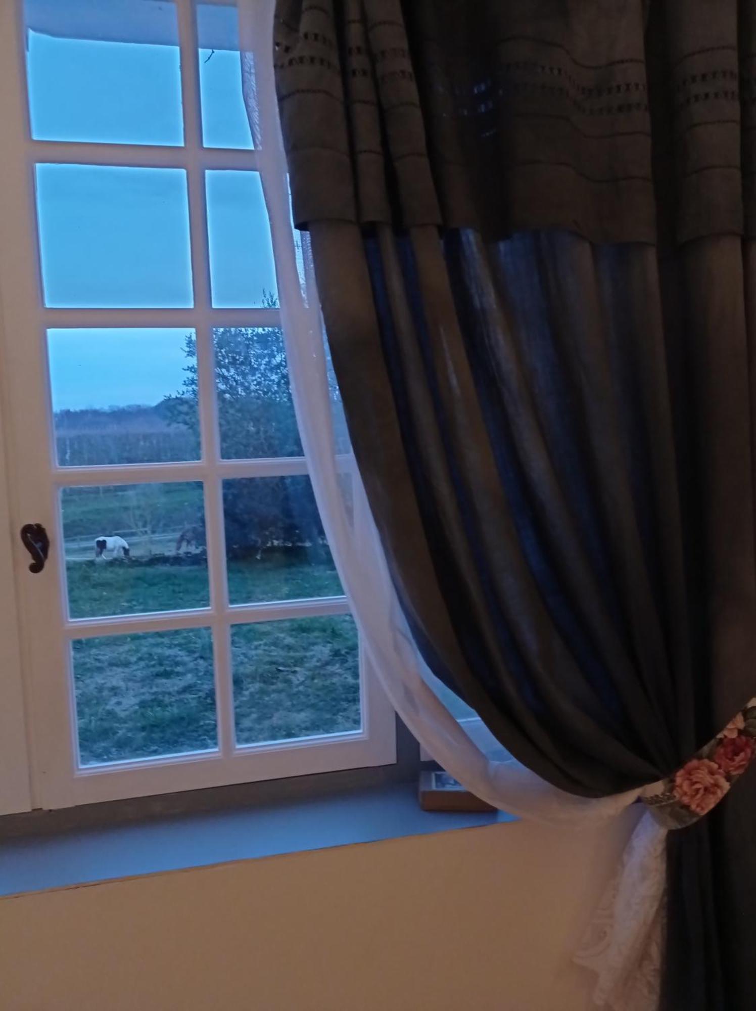 Le Chateau De Roquebere Condom Eksteriør billede